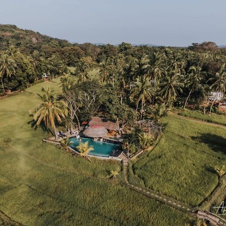 Nelu Resort Sigiriya Exteriör bild