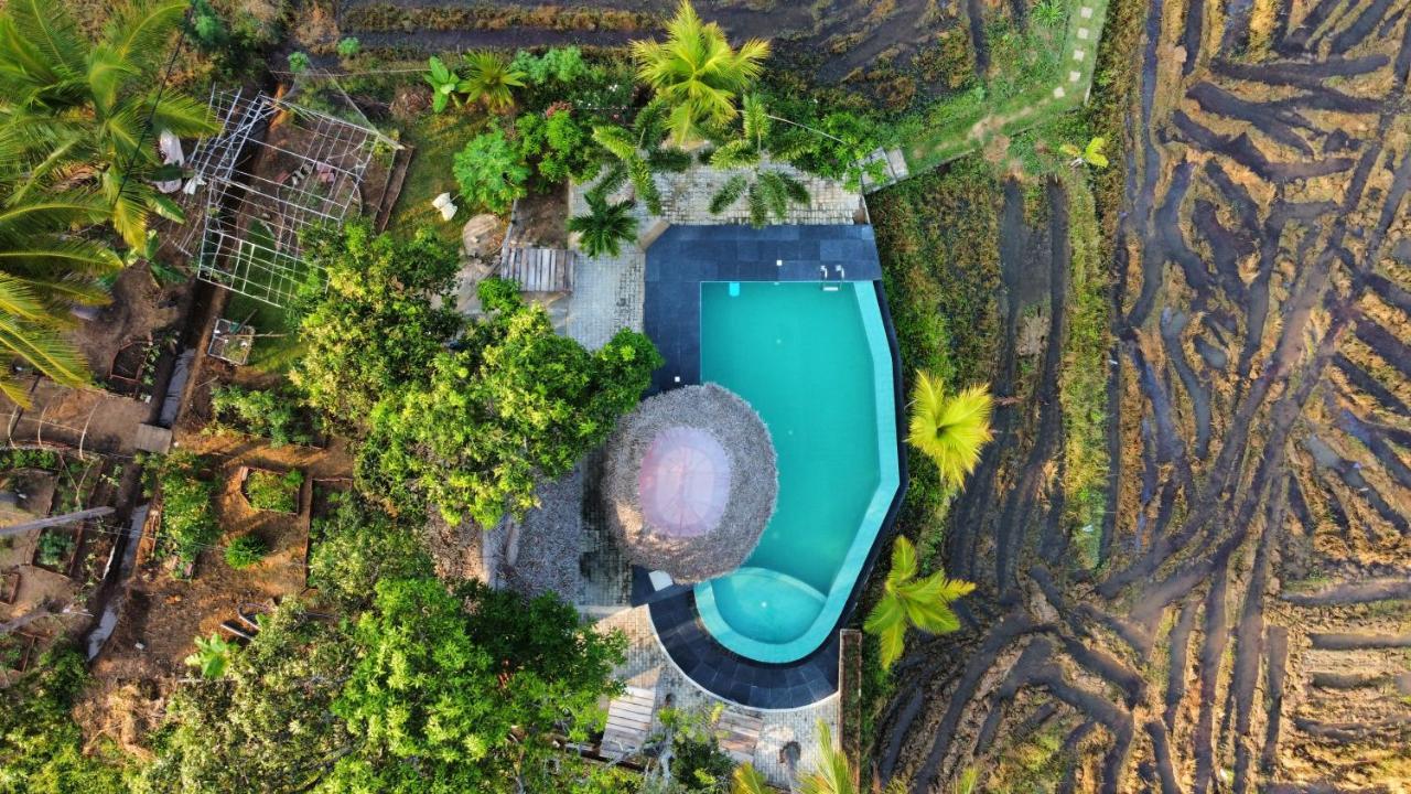 Nelu Resort Sigiriya Exteriör bild