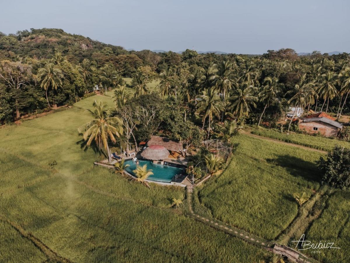 Nelu Resort Sigiriya Exteriör bild