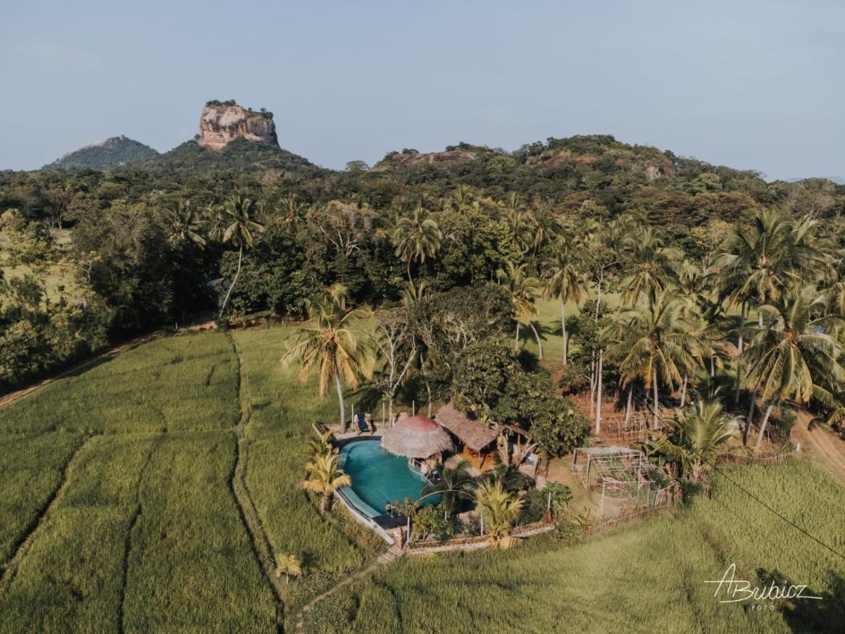Nelu Resort Sigiriya Exteriör bild